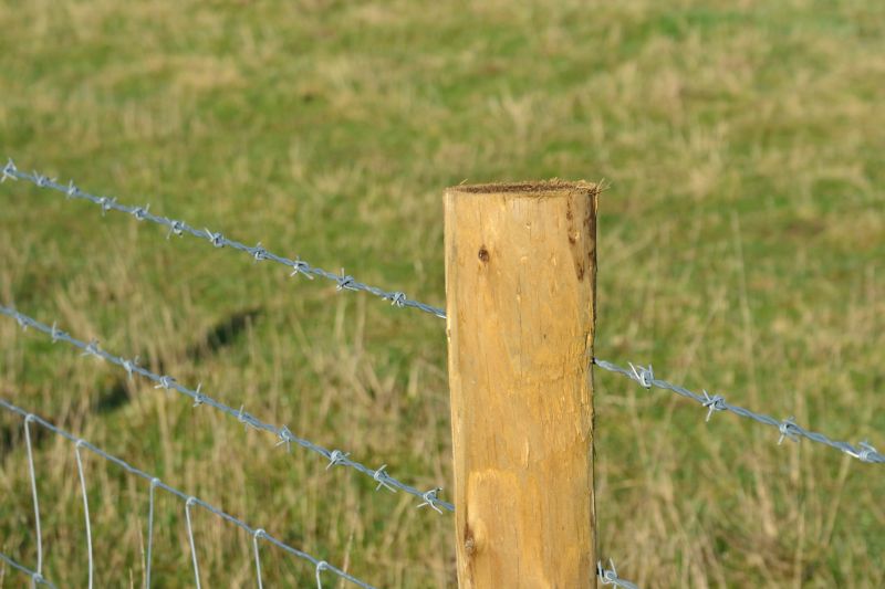 Fence Post Removal