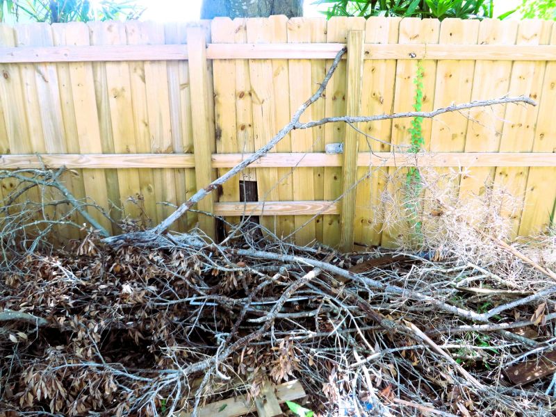 Post-Removal Cleanup