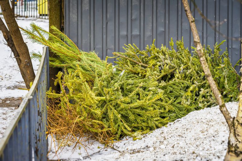 Soil Moisture Levels