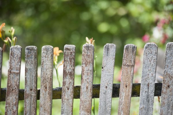 Wood Fence Disposal
